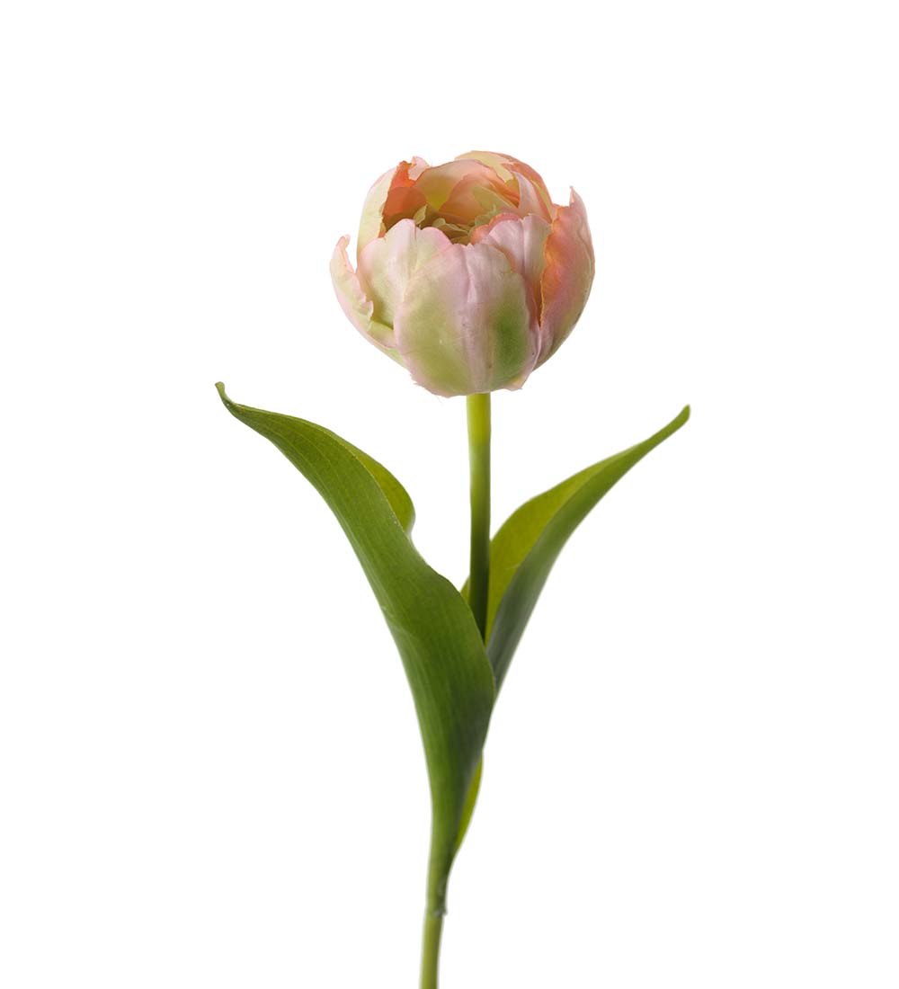 Tulpan Rosa 36 cm