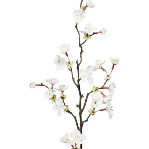 Körsbärsblom Vit 60cm