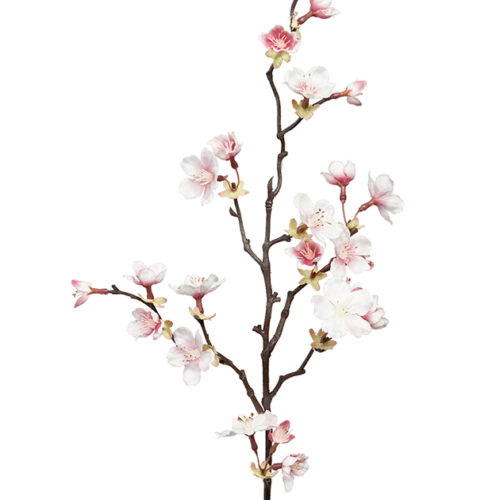 Körsbärsblom Rosa 60cm