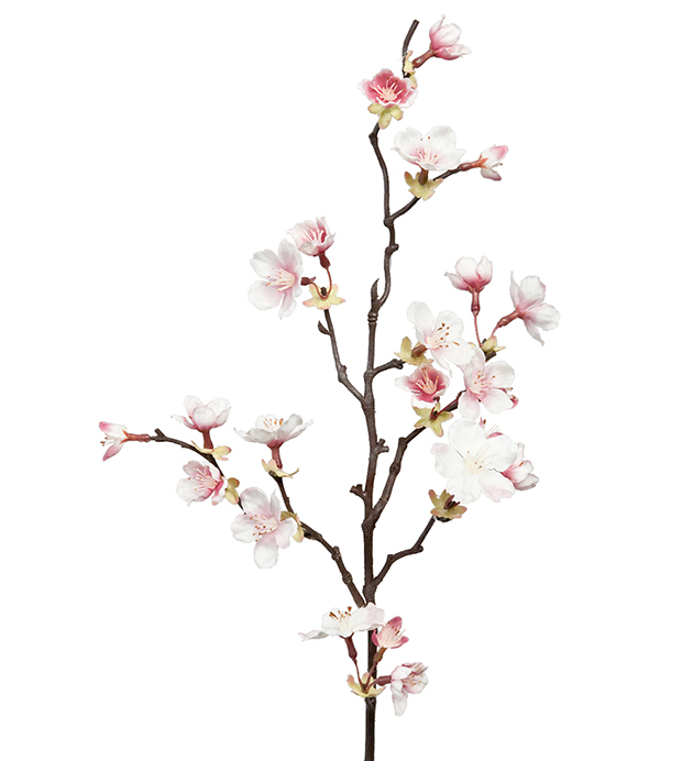 Körsbärsblom Rosa 60cm