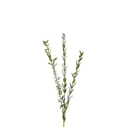 Eucalyptus 50 cm Grön – Konstkvist