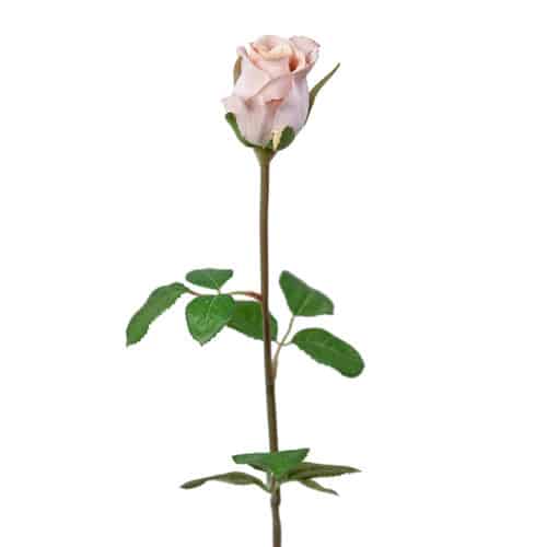Ros 50 cm lila