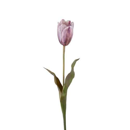 Tulpan 58 cm lila