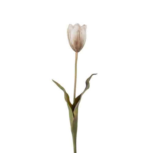 Tulpan 58 cm flerfärgad