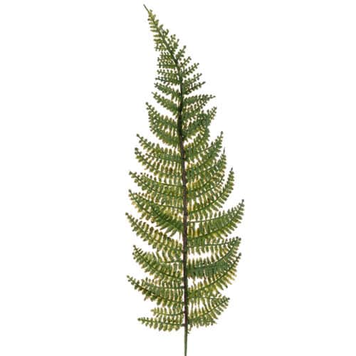 Ormbunksblad 38 cm