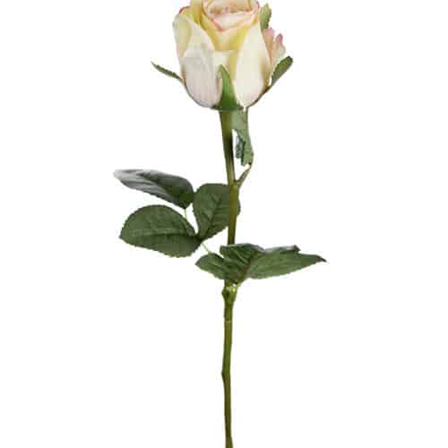 Ros 50 cm gul