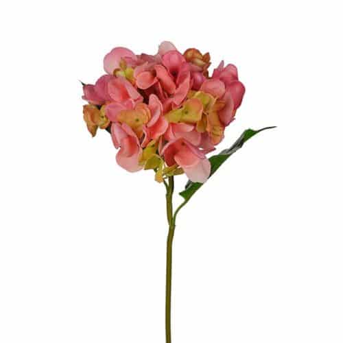 Hortensia 55 cm rosa