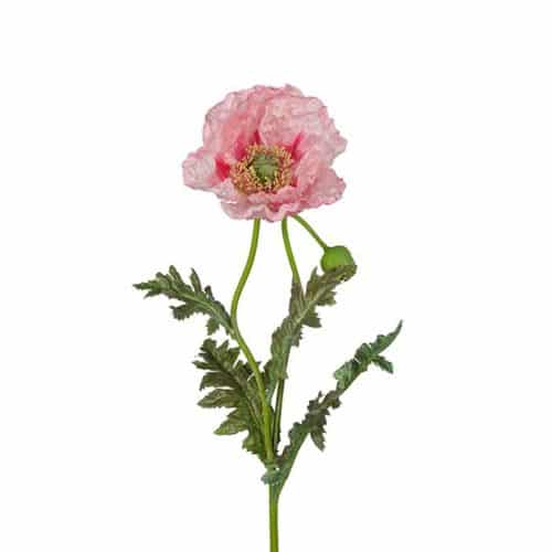 Vallmo rosa 100cm