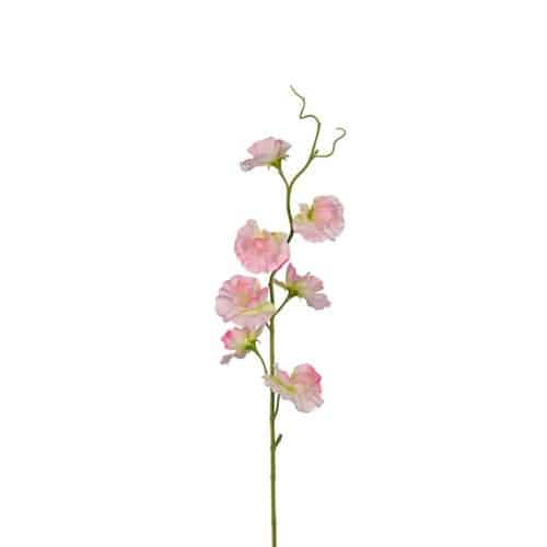 Luktärt 55cm rosa