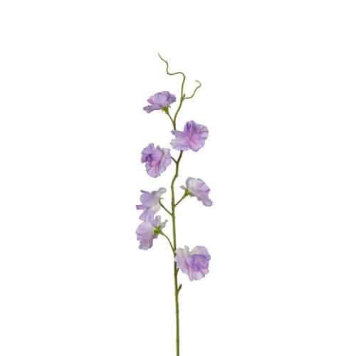 Luktärt 55cm lila