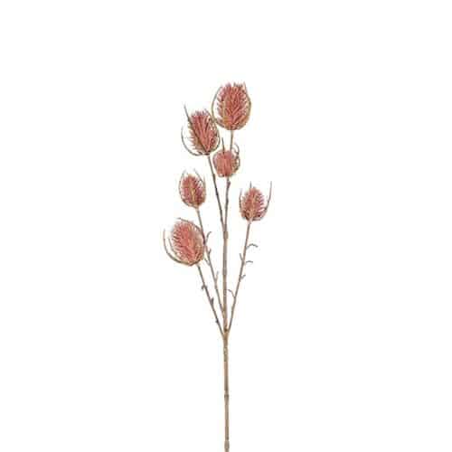 Tistel rosa 65cm