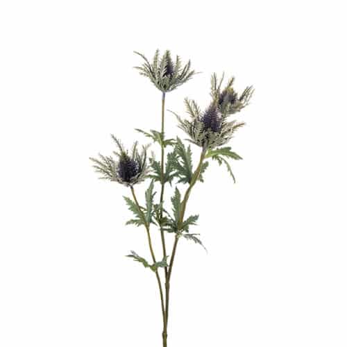 Tistel blå 75cm