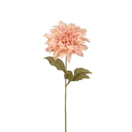 Dahlia rosa 60cm