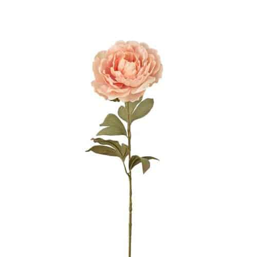 Pion rosa 65cm
