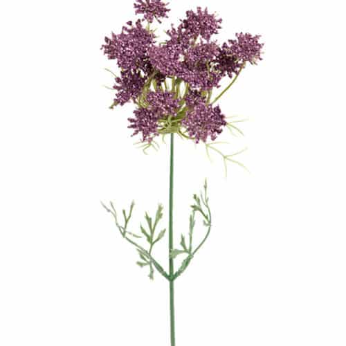 Trachelium 45 cm lila