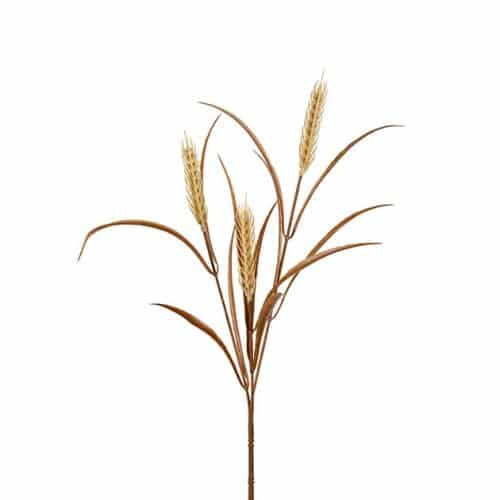 Vete Beige 65 cm