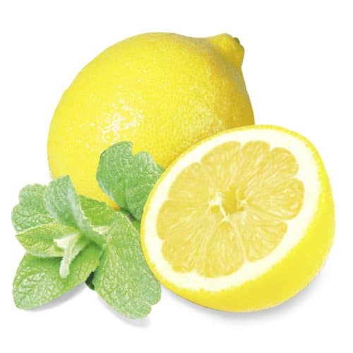 Essens Mynta/Citron 100ml till bastu