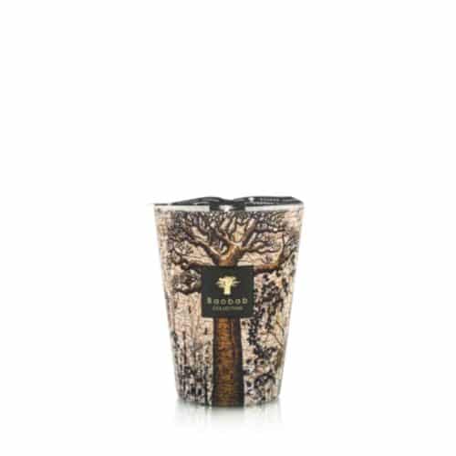 Baobab Doftljus Sacred Trees Morondo Max 24