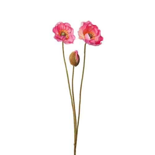 Vallmo 75cm Rosa
