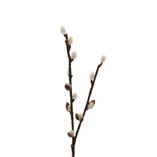 Vide 36 cm