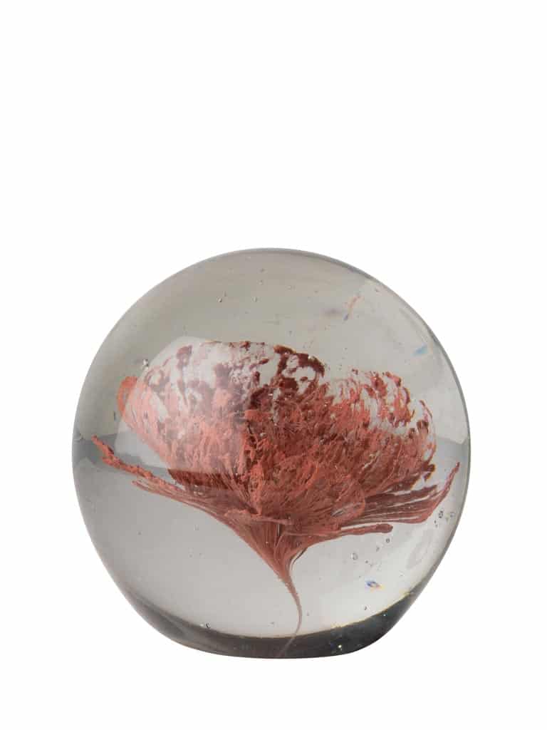 Pappersvikt Blomma Glas