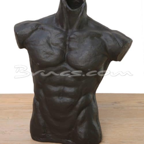 Brucs Torso