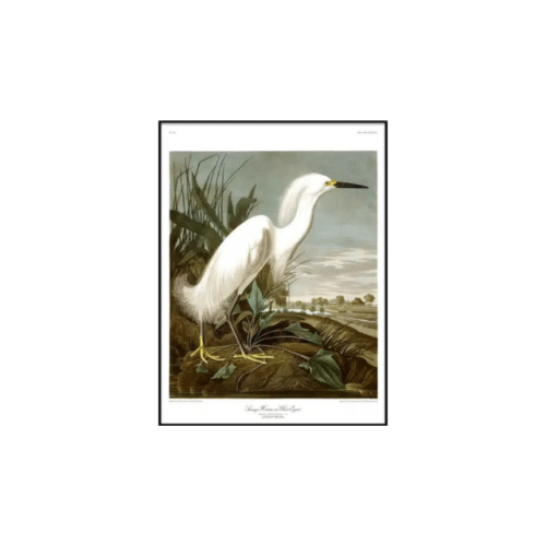 THE DYBDAHL CO Tavla Snowy Heron 30x40cm Svart ram