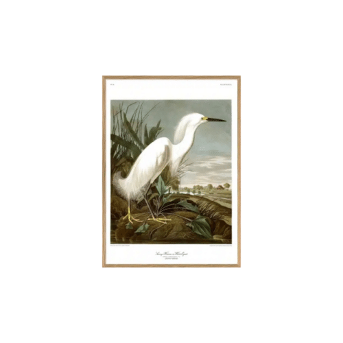 THE DYBDAHL CO Tavla Snowy Heron 50x70cm Ek ram