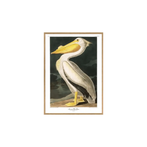 THE DYBDAHL CO Tavla Snowy Heron 30x40cm Ek ram