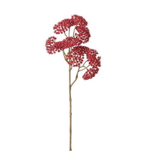Röllika 50cm Rosa