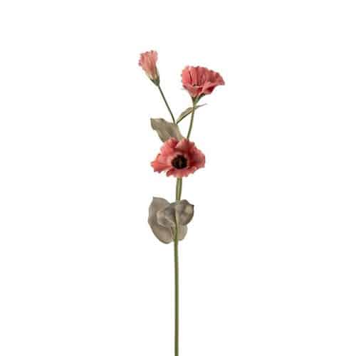 Prärieklocka 60cm Brun