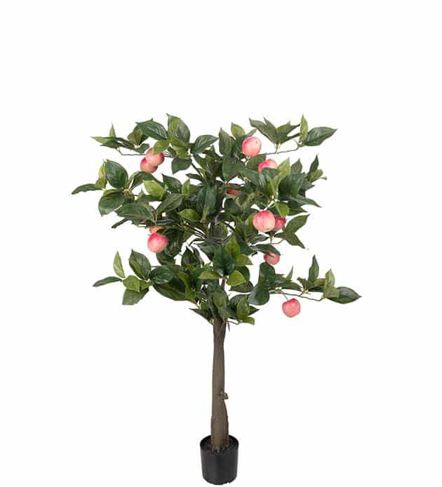 Äppleträd 110 cm