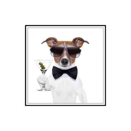 Tavla Hund med en dry martini 50x50