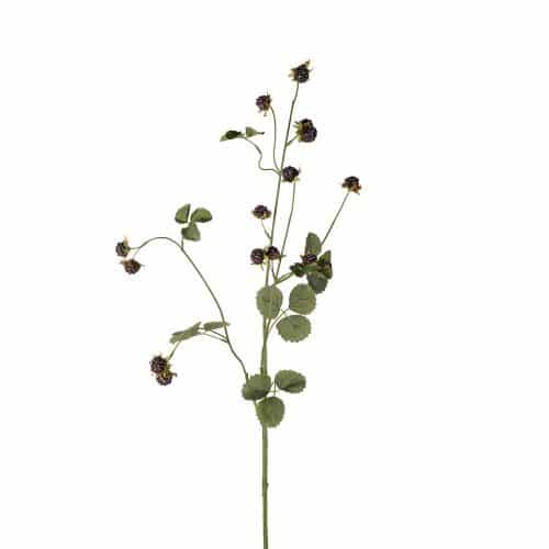 Björnbärskvist Svart 115cm