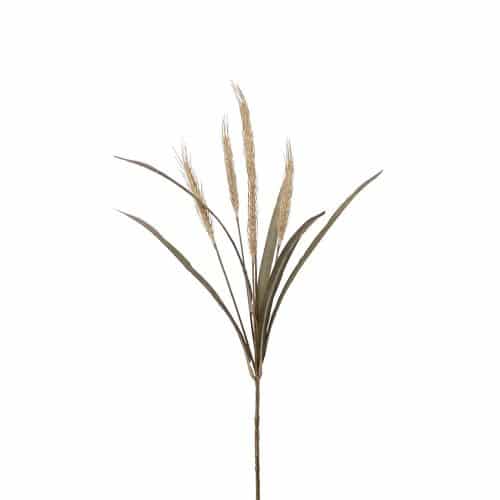 Vetekvist Beige 65cm