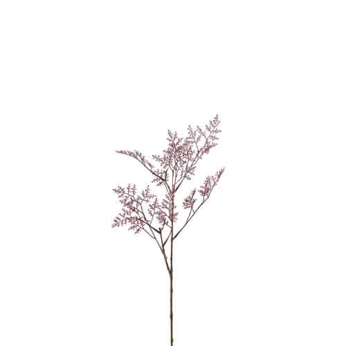 Limoniumkvist Rosa 65cm