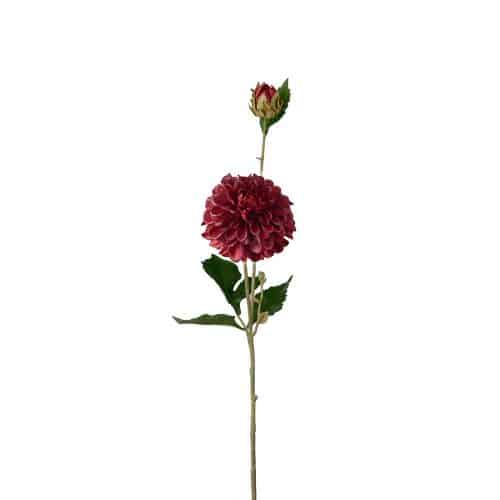 Dahlia Burgundy 66cm