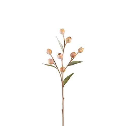 Eucalyptuskvist Med Bär Beige 65cm