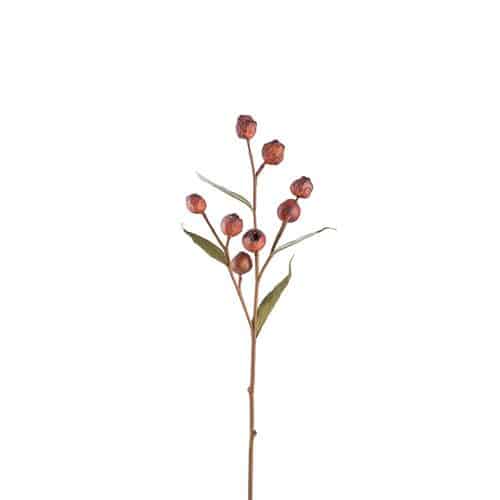 Eucalyptuskvist Med Bär Röd 65cm
