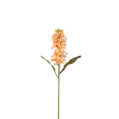 Lövkoja Orange 53cm