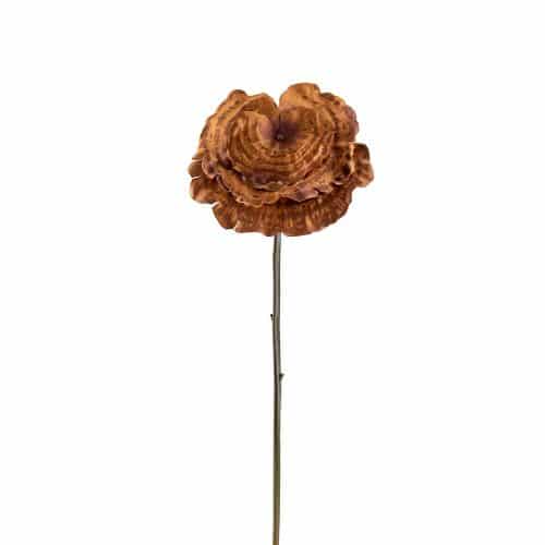 Lacktia Brun 53cm
