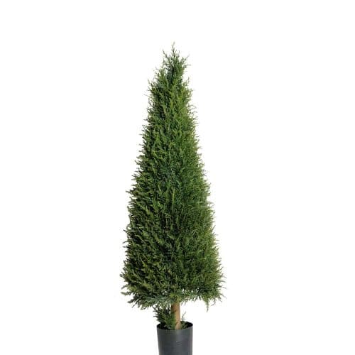 En 110cm I Kruka