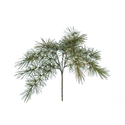 Barrkvist 50cm