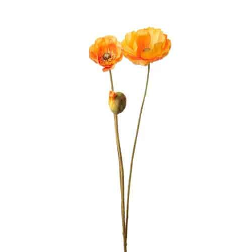 Vallmo orange 75cm
