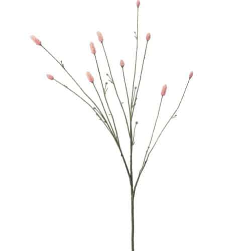 Pimpinell Rosa 80cm