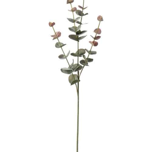Eucalyptus Grön 60cm