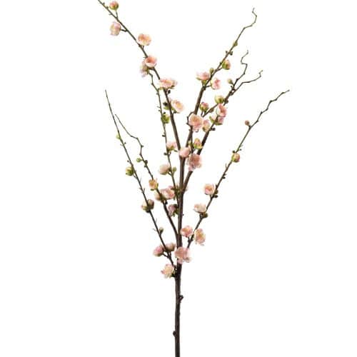 Plommonblom Rosa 120cm