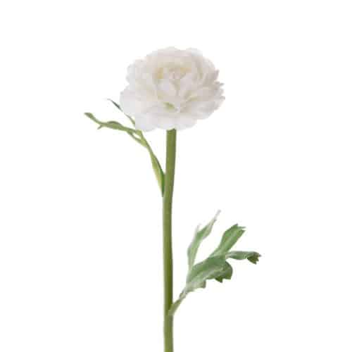 Ranuncel Vit 35cm