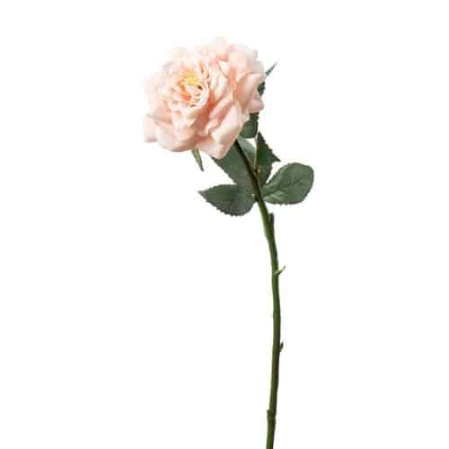 Ros 41 cm