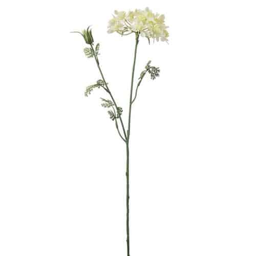 Blomsterkörvel 73 cm Gul